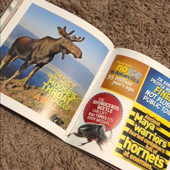 Weird but True! 5 - Picture 3 of 3